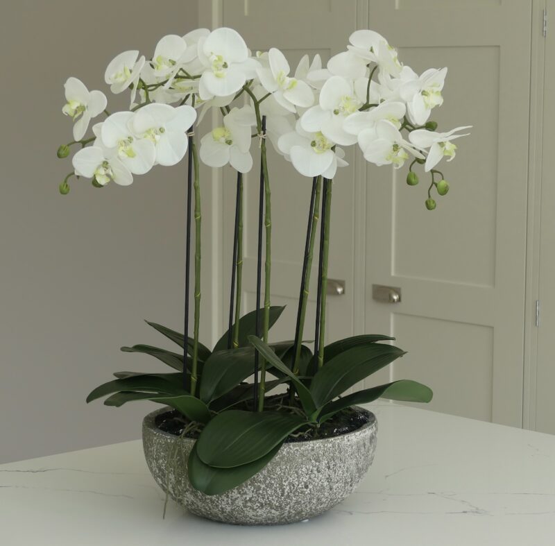 Premium Potted Faux White Orchid - Housify